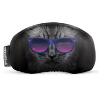 bad kitty soc
