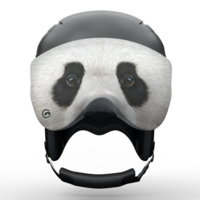 panda visorsoc - IT